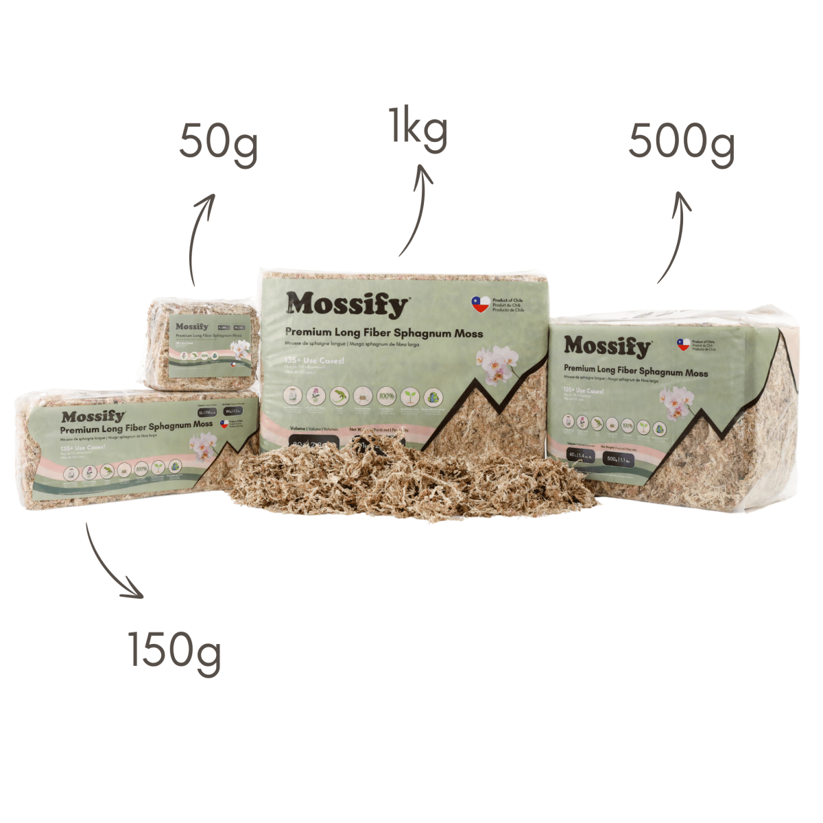 Premium Long Fiber Sphagnum Moss – Orchid & Kokedama Substrate (150g) - Ed's Plant Shop