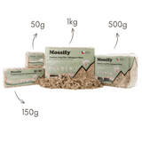 Premium Long Fiber Sphagnum Moss – Orchid & Kokedama Substrate (150g) - Ed's Plant Shop