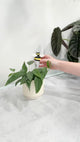 Self Watering Device - Bee