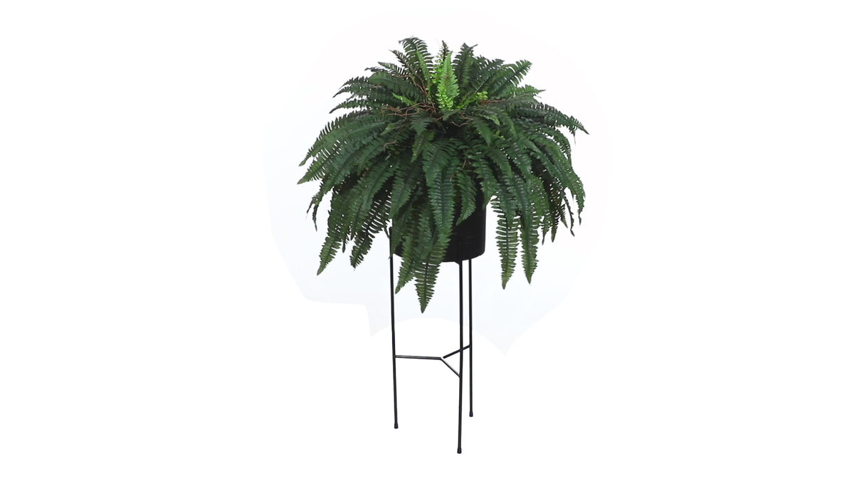 51” Boston Fern Artificial Plant in Black Planter with Stand