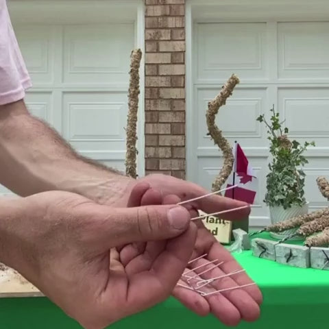 Mossify Floral Pins Product Demonstration