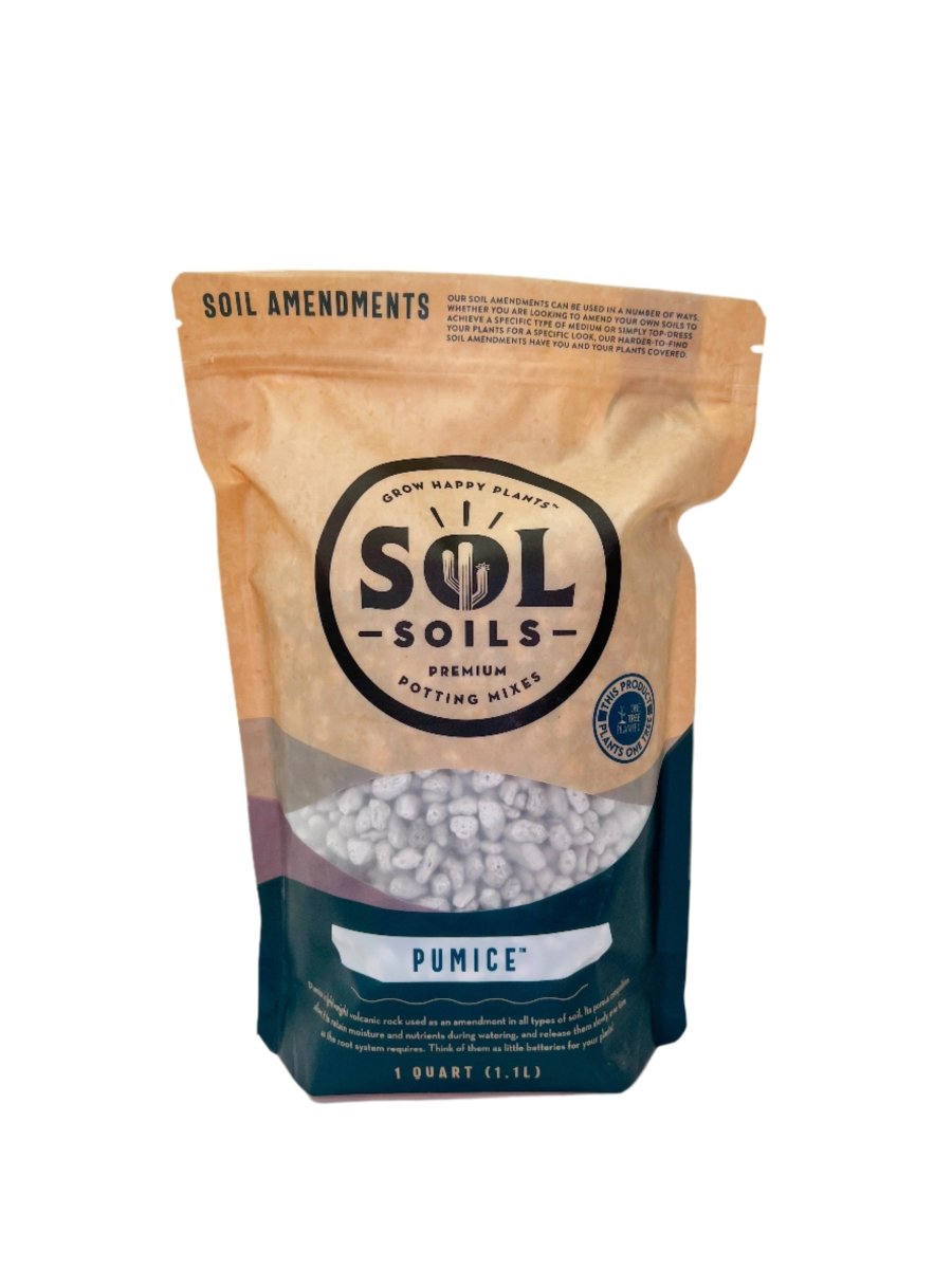 Pumice – Lightweight Volcanic Soil Amendment for Healthy Plants - Ed's Plant Shop