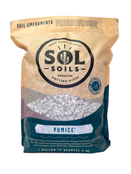 Pumice – Lightweight Volcanic Soil Amendment for Healthy Plants - Ed's Plant Shop