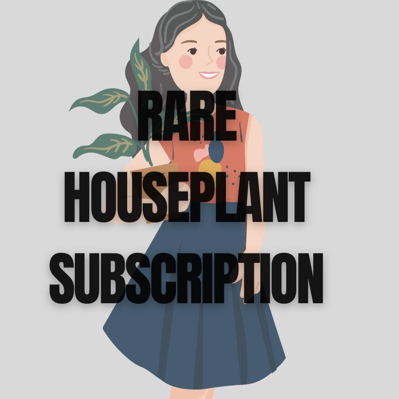 Rare Plant Subscription - Subscribe & Thrive! - Ed's Plant Shop