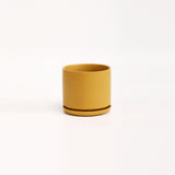 The Ceramic Cylinder Planter with Saucer, 2nd Generation