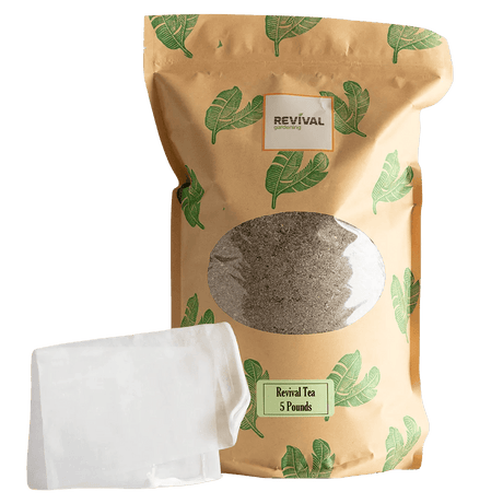 Revival Plant Tea - Ed's Plant Shop