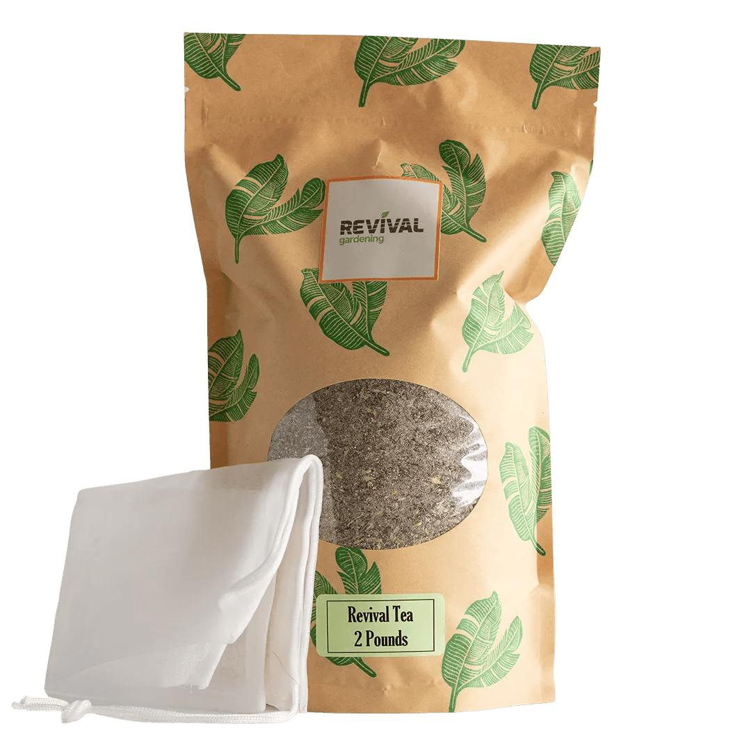 Revival Plant Tea - Ed's Plant Shop