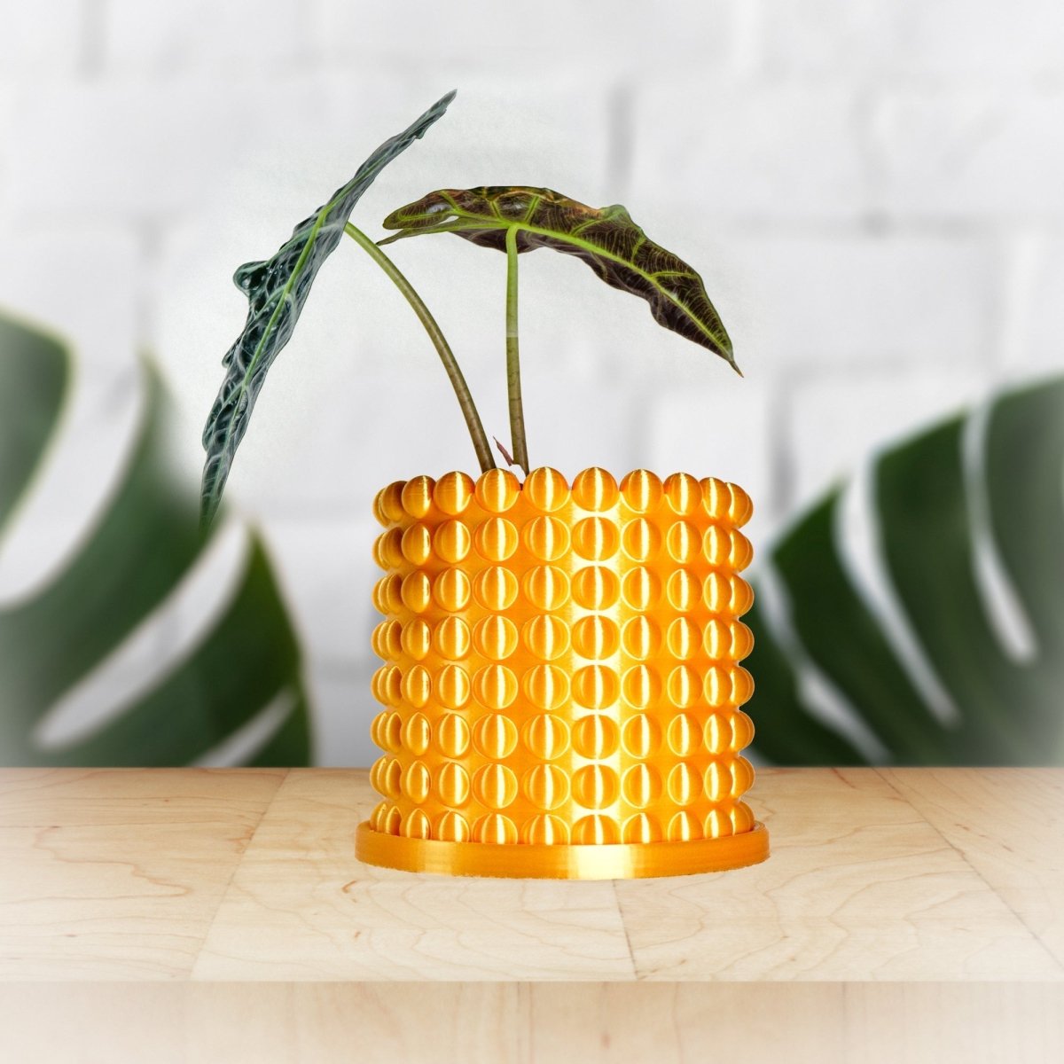 Yellow textured planter with a plant on a wooden surface