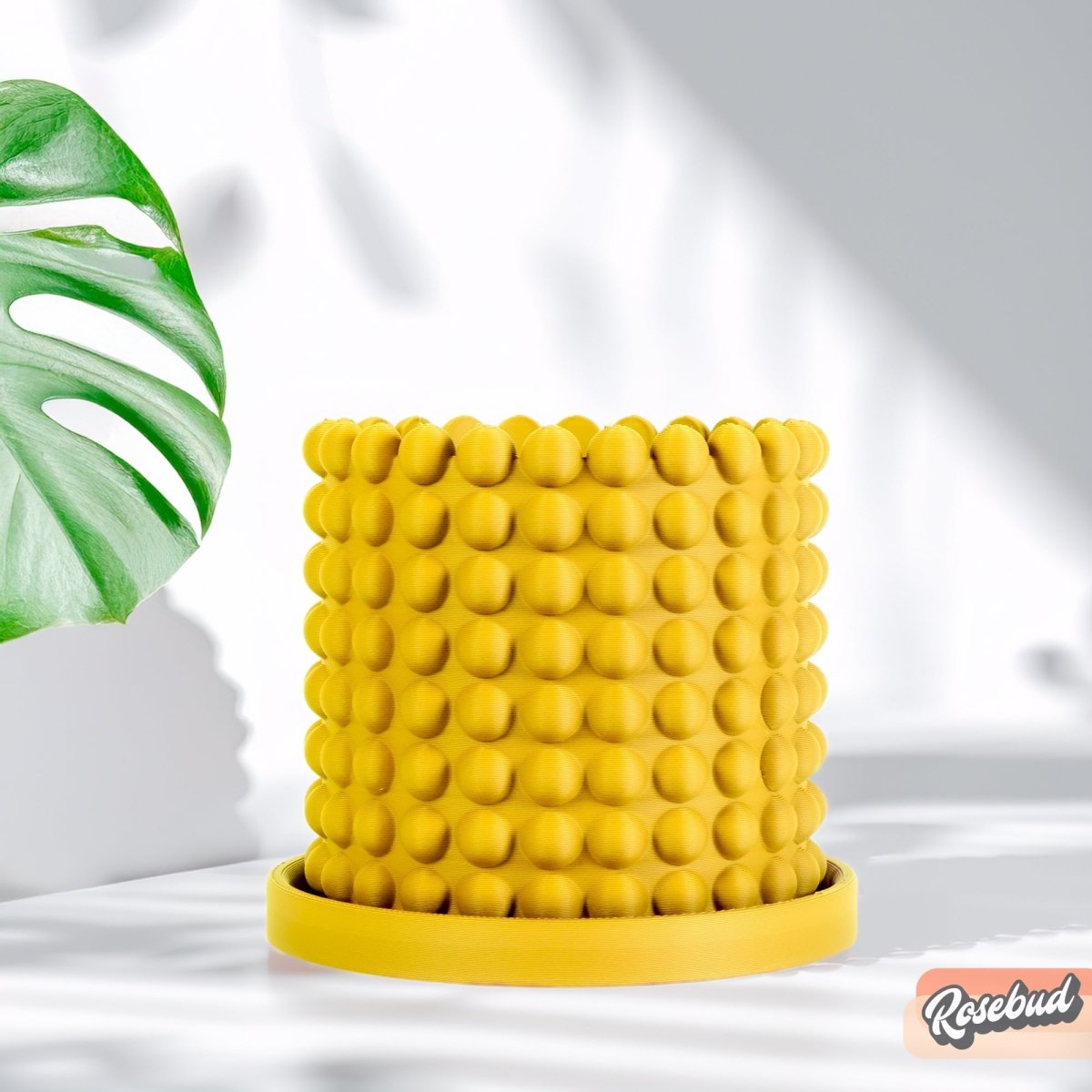 Yellow textured planter with a leafy plant on a white background