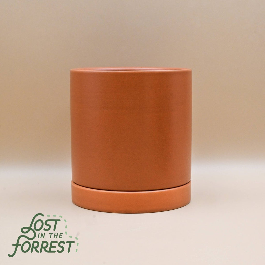 Romey Planter Pot and Saucer: 4.75 Inch - Ed's Plant Shop