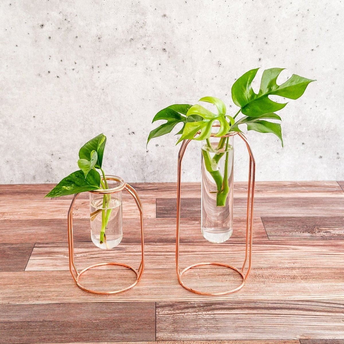 Rose Gold Propagation Station & Vase - Ed's Plant Shop