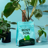 Rosy Soil Organic Indoor Potting Mix - Houseplant 4qt. - Ed's Plant Shop