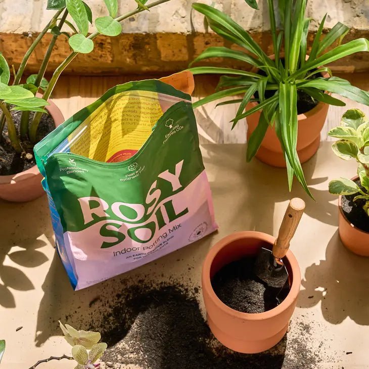 Rosy Soil Organic Indoor Potting Mix - Houseplant 8qt. - Ed's Plant Shop