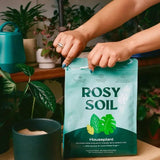 Rosy Soil Organic Indoor Potting Mix - Houseplant 8qt. - Ed's Plant Shop