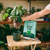 Rosy Soil Organic Indoor Potting Mix - Houseplant 8qt. - Ed's Plant Shop