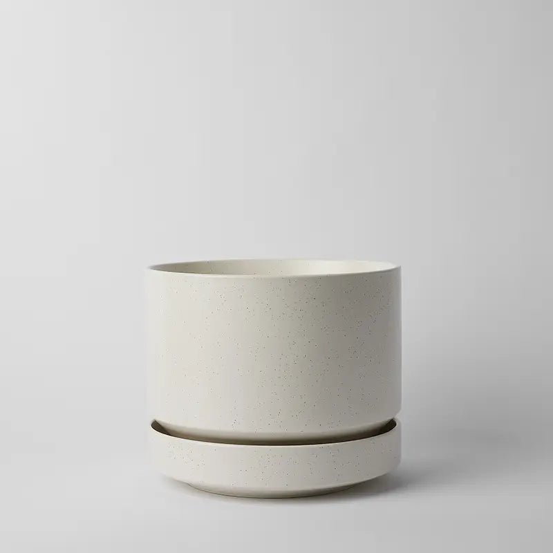 Round Two Ceramic Planter – 4", 6", 8", 10" (With Drainage & Saucer) - Ed's Plant Shop