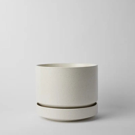 Round Two Ceramic Planter – 4", 6", 8", 10" (With Drainage & Saucer) - Ed's Plant Shop