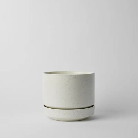 Round Two Ceramic Planter – 4", 6", 8", 10" (With Drainage & Saucer) - Ed's Plant Shop