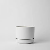 Round Two Ceramic Planter – 4", 6", 8", 10" (With Drainage & Saucer) - Ed's Plant Shop