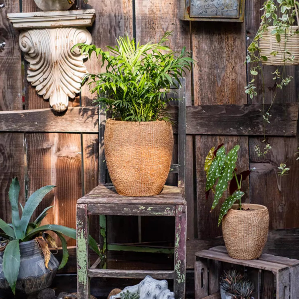 Seagrass Style Cement Planter - Ed's Plant Shop