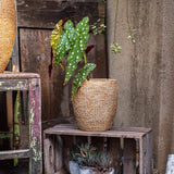 Seagrass Style Cement Planter - Ed's Plant Shop