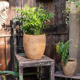 Seagrass Style Cement Planter - Ed's Plant Shop