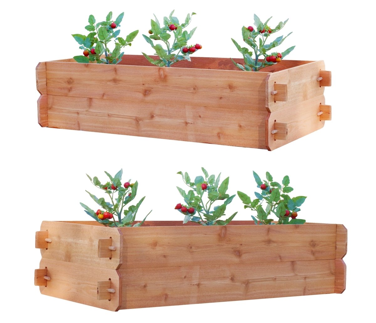 SET OF 2 Timberlane Gardens Easy Raised Garden Bed Kits. Double Deep. Select Cedar. Mortise & Tenon. 2' W x 4' L - Ed's Plant Shop