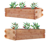 SET OF 2 Timberlane Gardens Easy Raised Garden Bed Kits. Double Deep. Select Cedar. Mortise & Tenon. 2' W x 4' L - Ed's Plant Shop