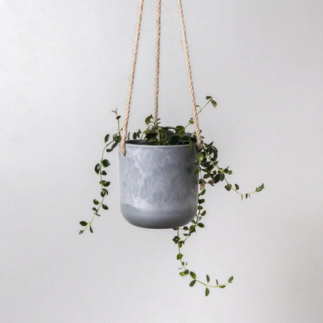 Signature Stone Hanging Planter Pot 4.75 Inch - Ed's Plant Shop