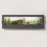 Smart Landscape Grow Frame *ONLINE ONLY* - Ed's Plant Shop