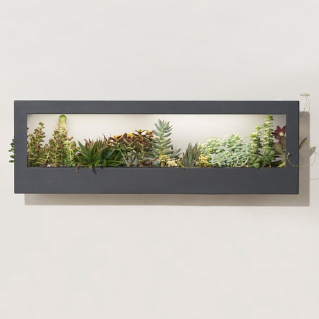 Smart Landscape Grow Frame *ONLINE ONLY* - Ed's Plant Shop