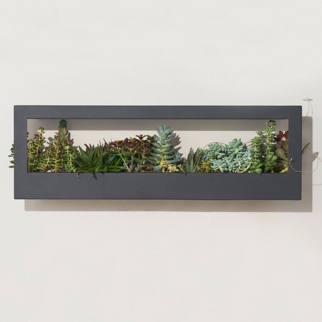 Smart Landscape Grow Frame *ONLINE ONLY* - Ed's Plant Shop