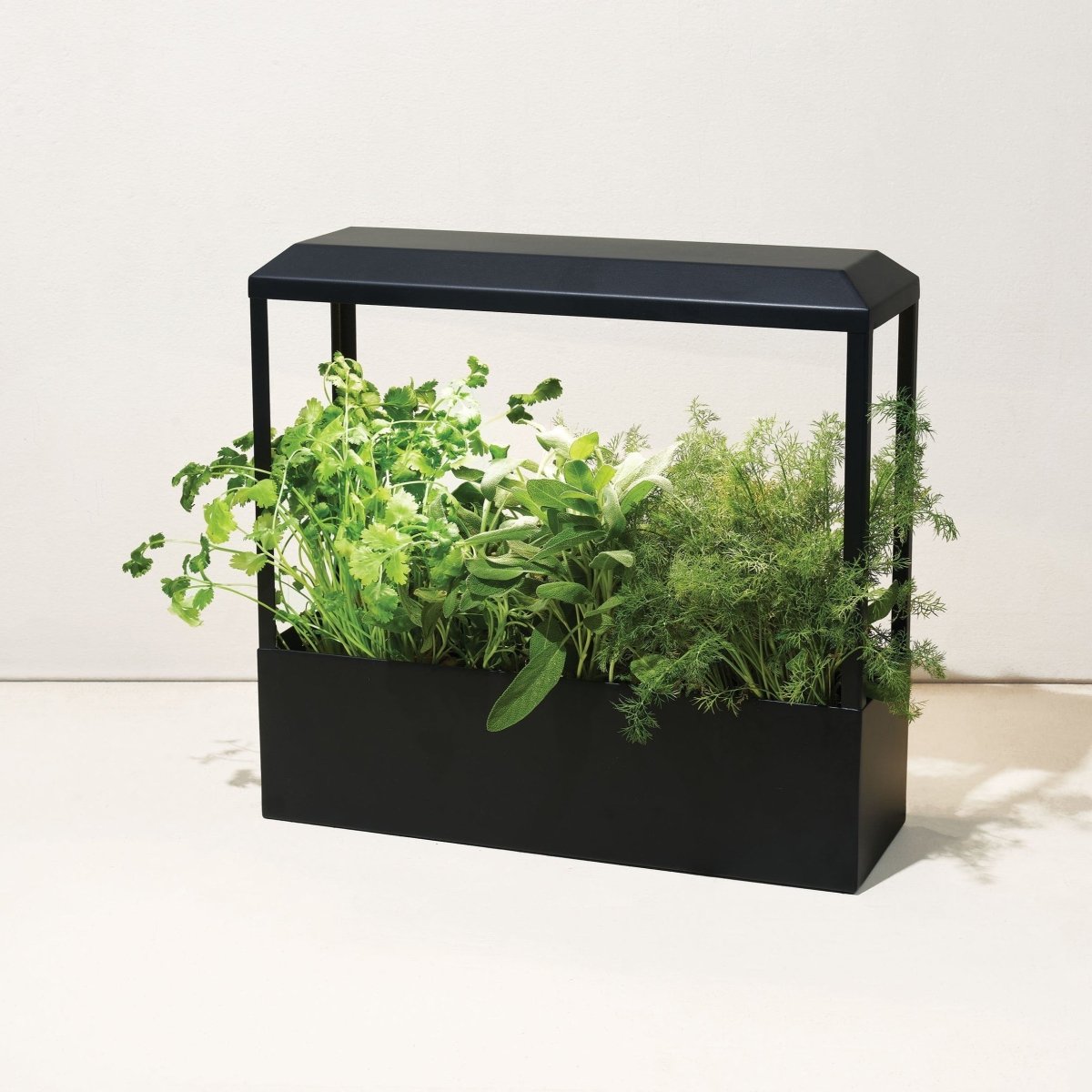 indoor planter with grow light Smart Growhouse Matte Black