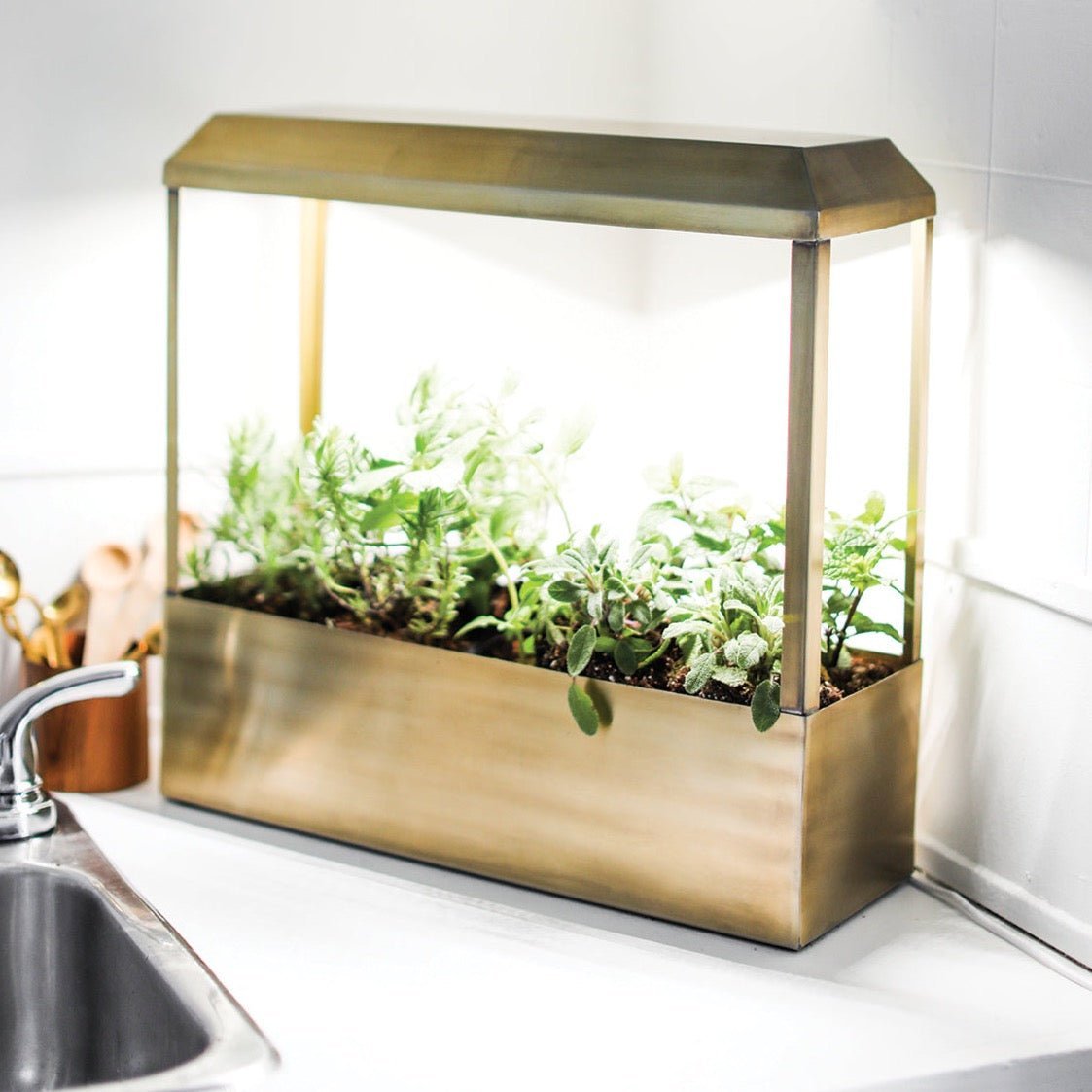 Smart LED Growhouse | Countertop Grow Light with Planter - Ed's Plant Shop