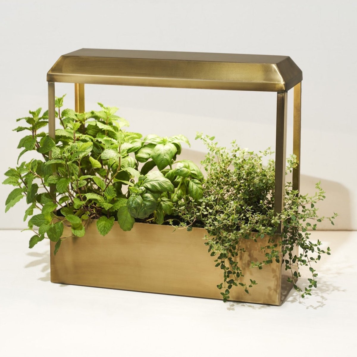 light box for growing plants Smart Growhouse Brass