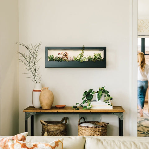 Smart Standard Growframe | Wall-Mounted LED Grow Light Frame – Ed's ...