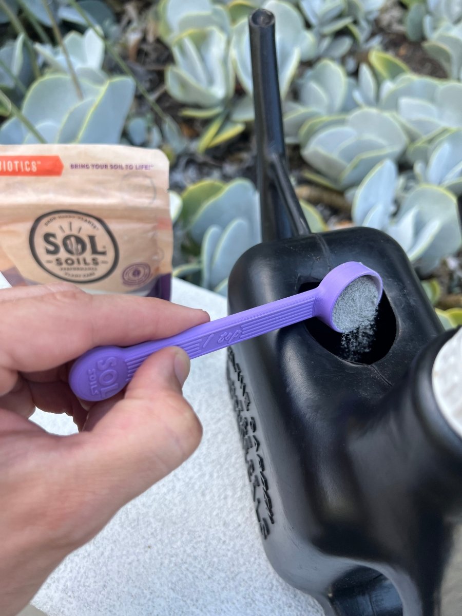 Sol Biotics Purple Powder Spoon - 1 Teaspoon - Ed's Plant Shop