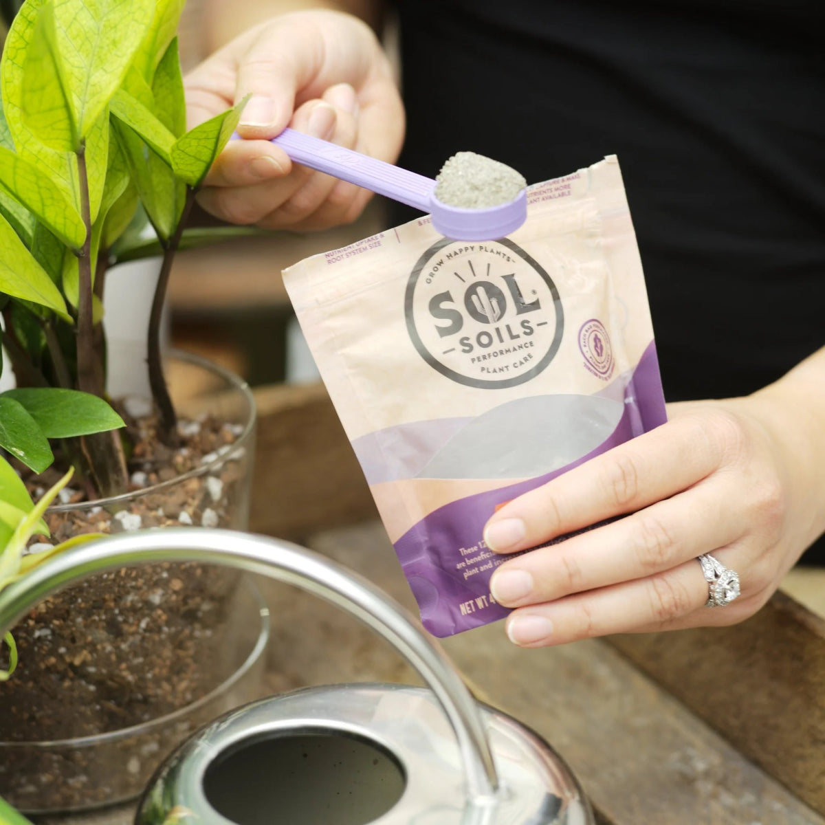 Person measuring repot recovery from a SOL Soils package with a plant in the background over a watering can