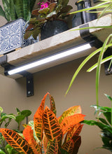 Soltech Solutions - Grove LED Grow Light - Ed's Plant Shop