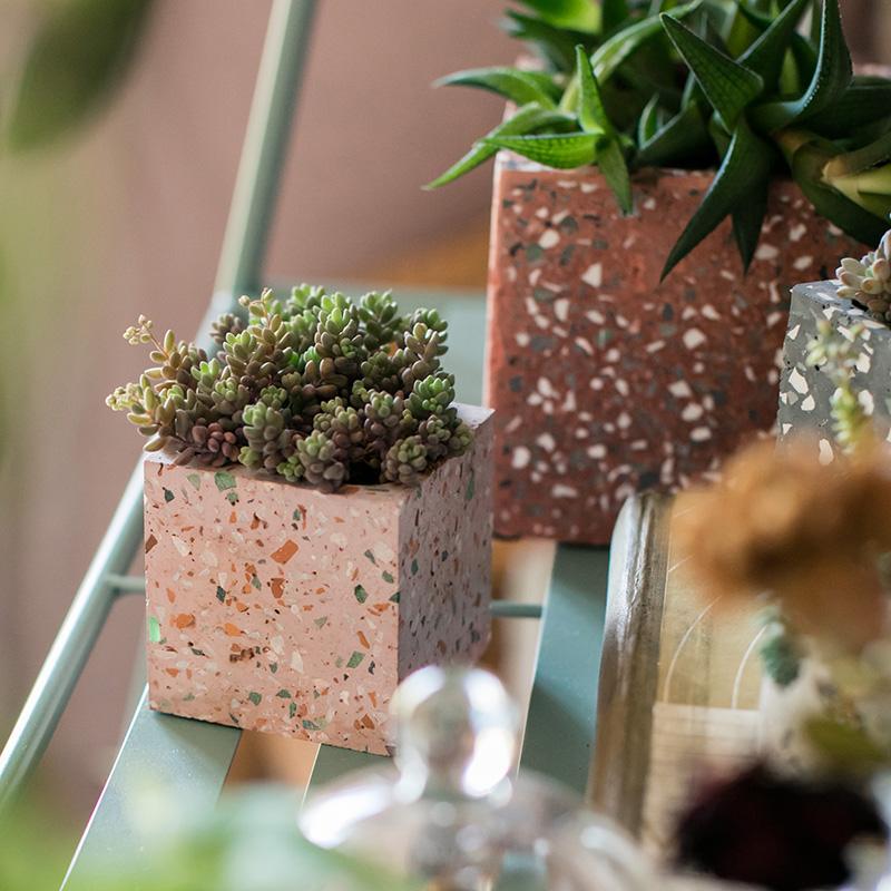cement pot plants Speckled Cement Planters – Fun, Versatile, and Classy – Ed's Plant Shop
