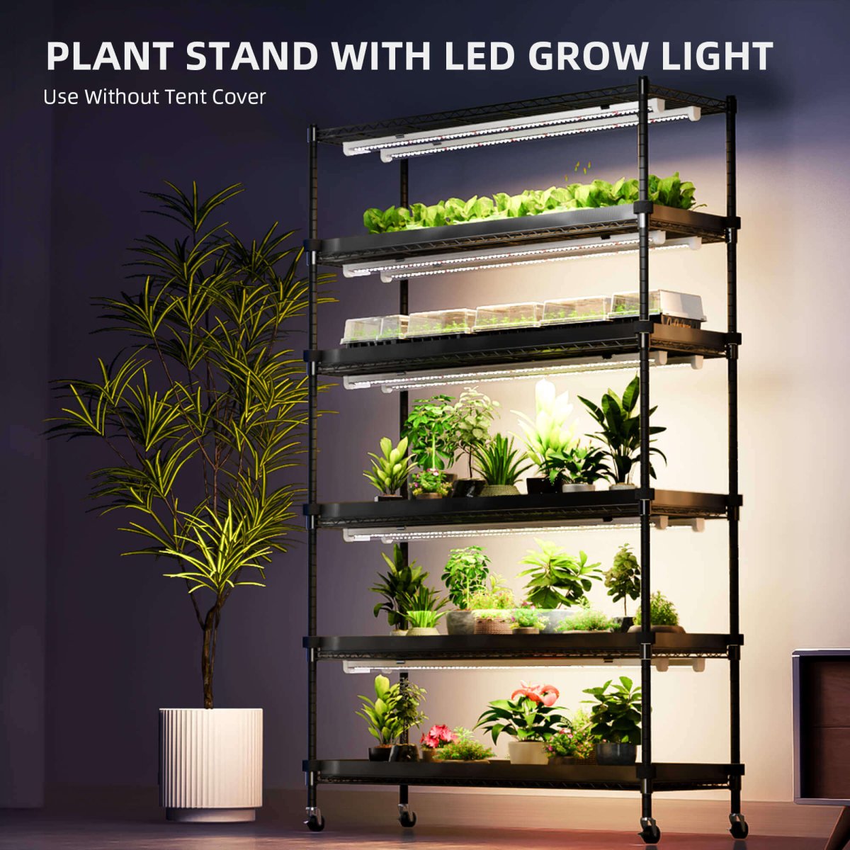 Spider Farmer 6 - Tier Plant Stand with Grow Lights & Grow Tent Kit (220W) - Ed's Plant Shop