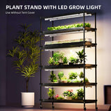Spider Farmer 6 - Tier Plant Stand with Grow Lights & Grow Tent Kit (220W) - Ed's Plant Shop