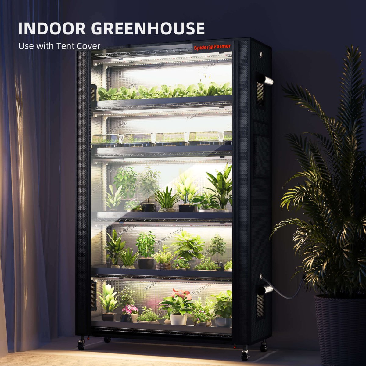 Spider Farmer 6 - Tier Plant Stand with Grow Lights & Grow Tent Kit (220W) - Ed's Plant Shop