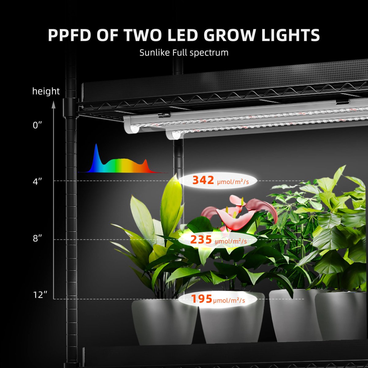 LED grow lights with plants and PPFD measurement on a black background
