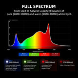 Spectrum chart with color peaks and text about light spectrum for plants