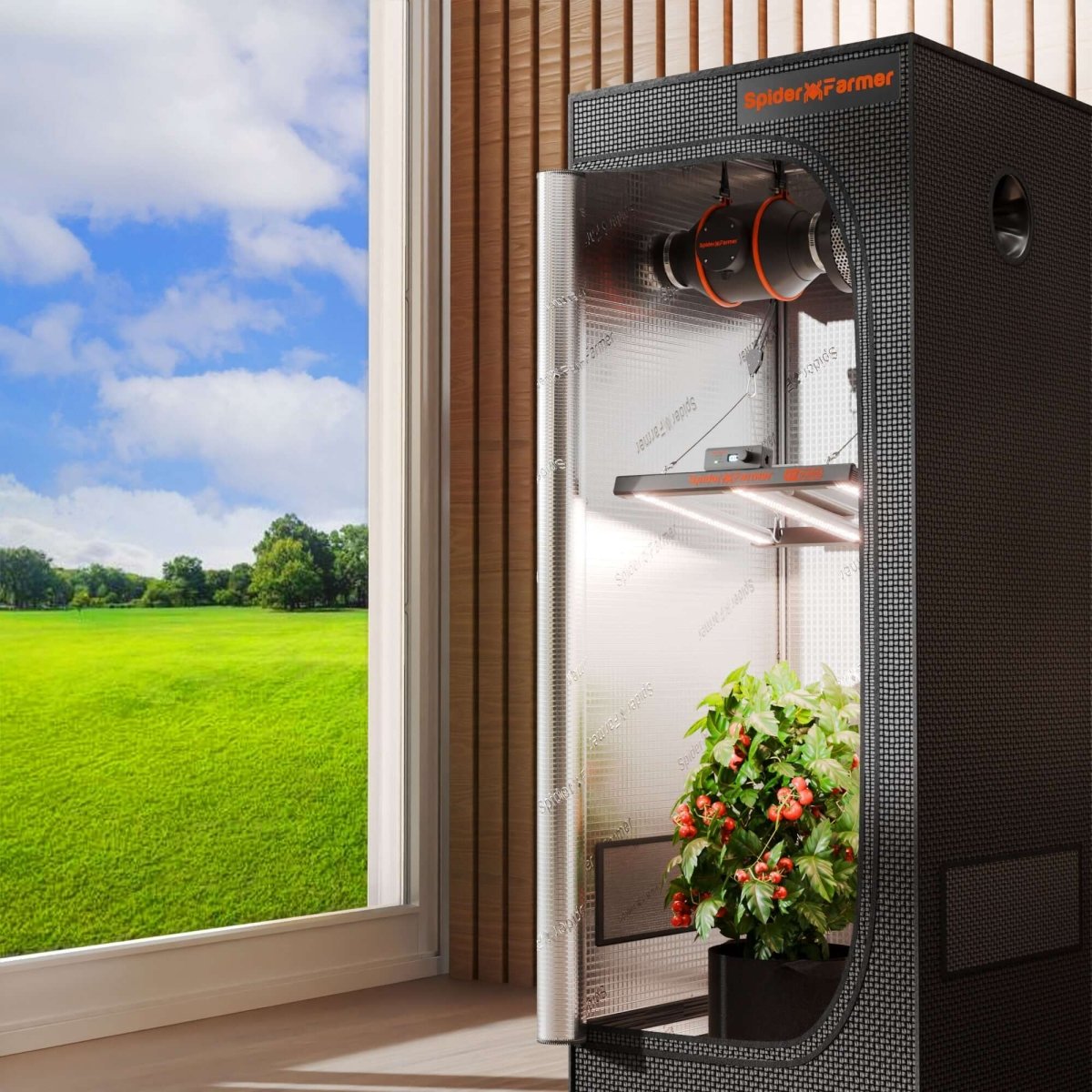 Grow tent with open door showing grow light and tomato plants, set against a window view of a green field and blue sky.