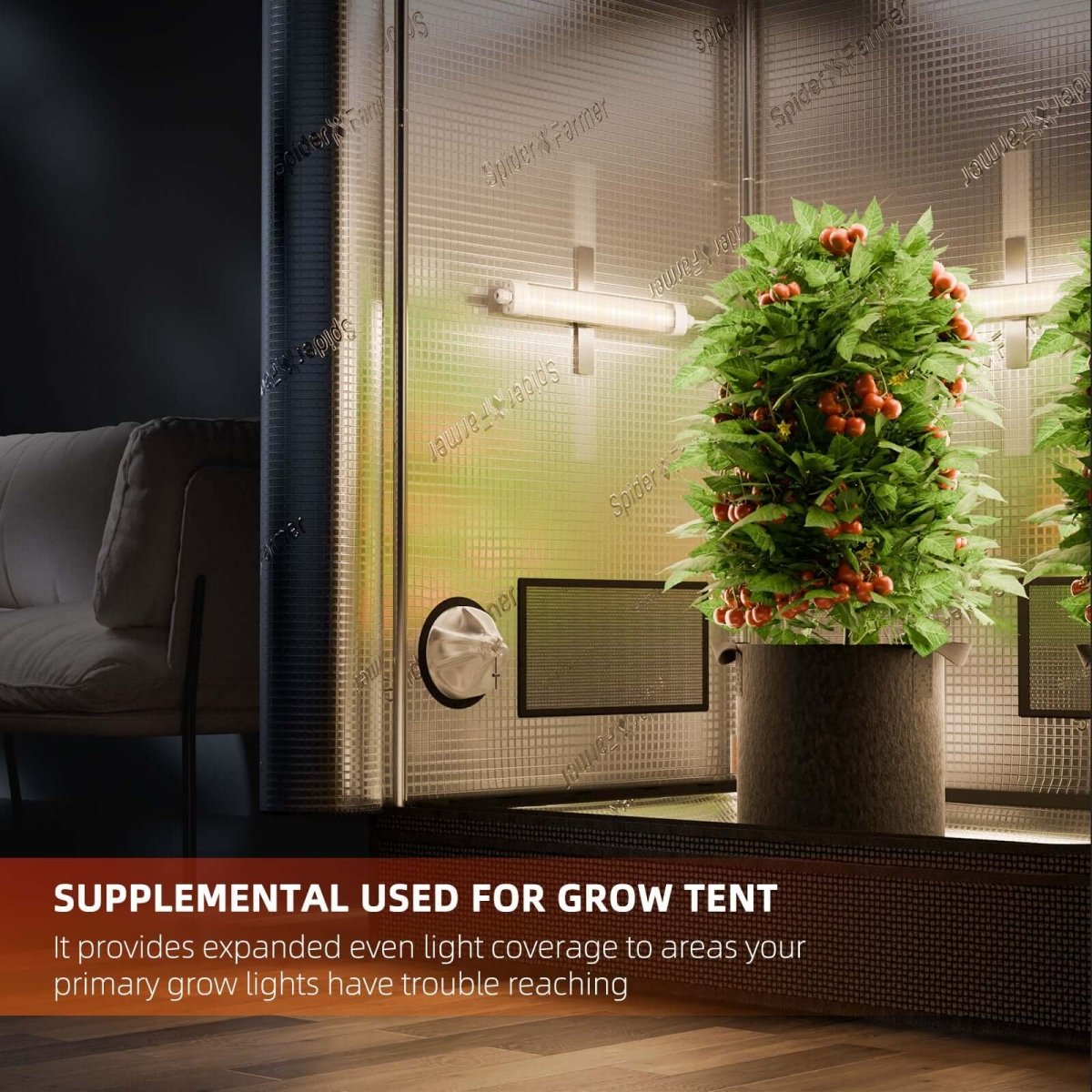 Spider Farmer Glow30 32W Supplemental Full Spectrum LED Grow Light Bars - Ed's Plant Shop