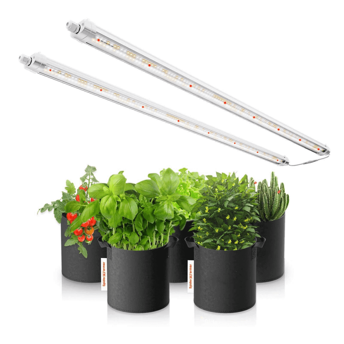 Spider Farmer Glow80 LED Grow Light – 80W Full Spectrum, Energy