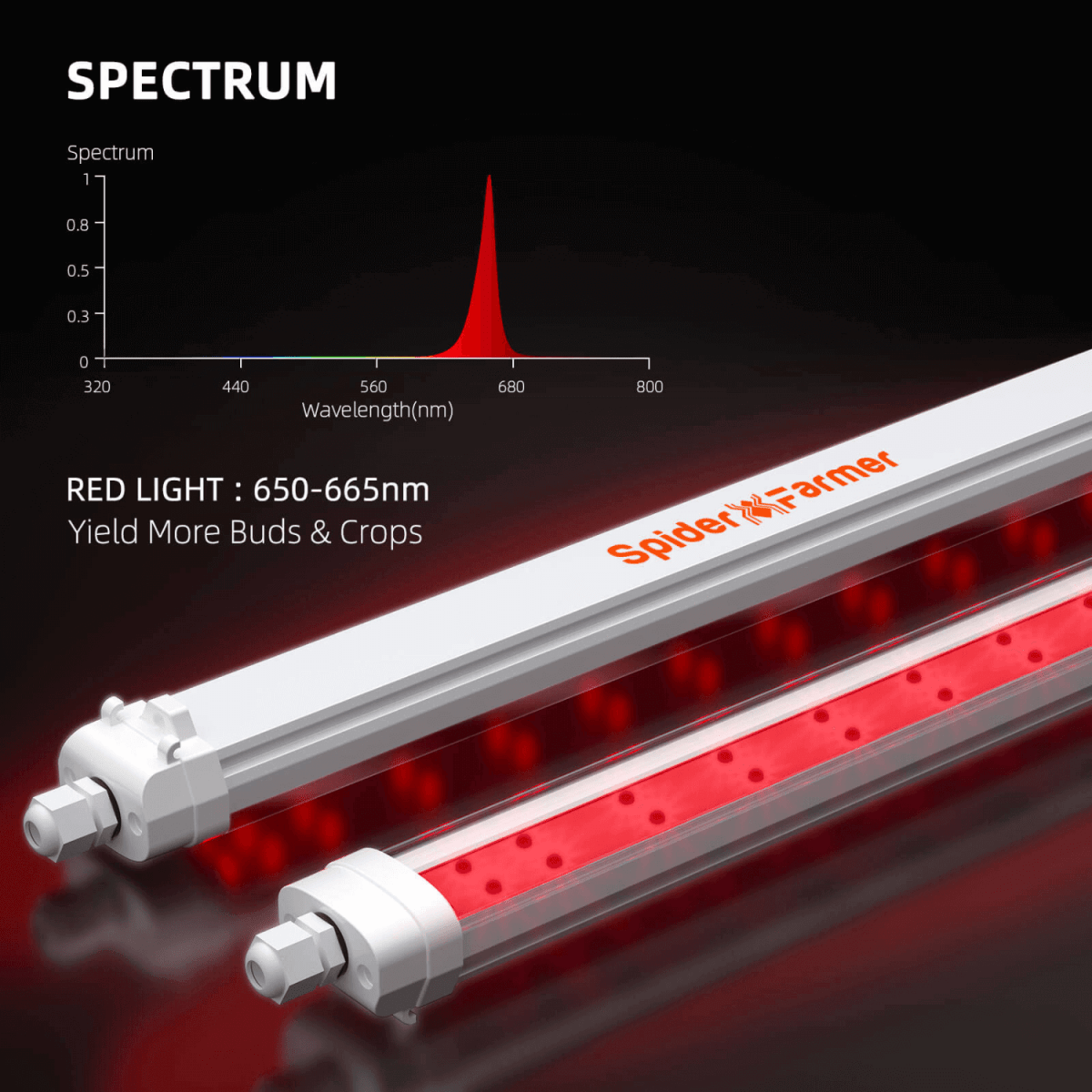 Spider Farmer GlowR40 40W 660nm Deep Red Supplemental LED Grow Light Bar - Ed's Plant Shop