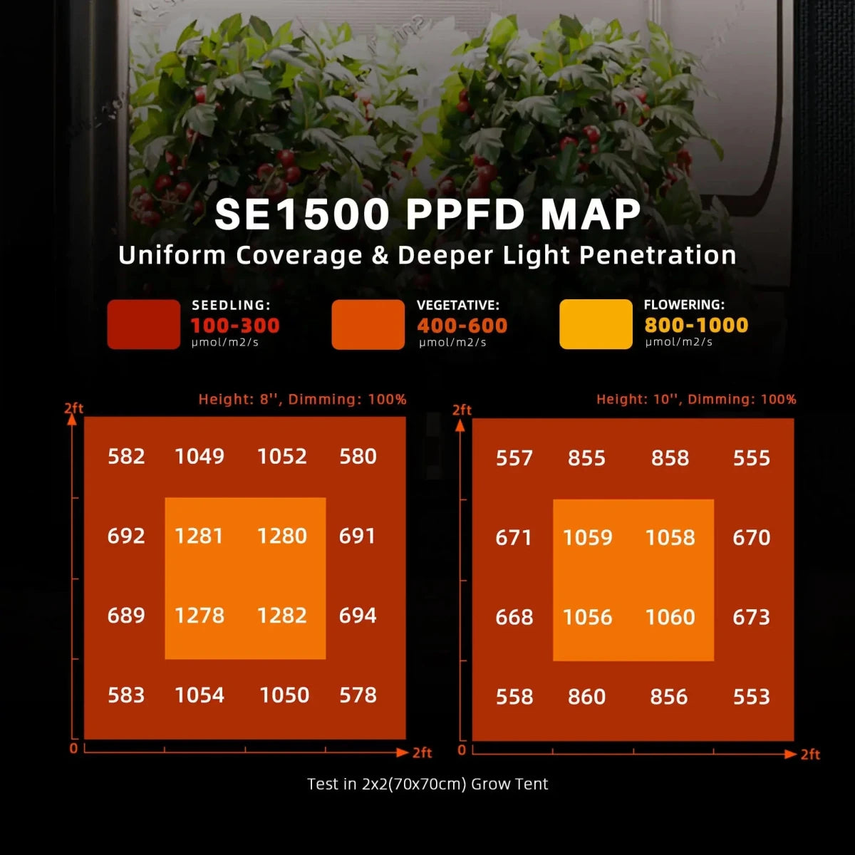 Spider Farmer SE1500 PPFD map showing uniform light distribution for 2x2 coverage